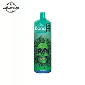 BANG 12000 使い捨て電子タバコ