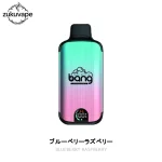 BANG 20000 使い捨て電子タバコ ブルーベリーラズベリー