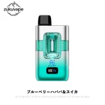Fumot Eco 50000 二合一フレーバー切替 使い捨て電子タバコ ブルーベリーハババ＆スイカ