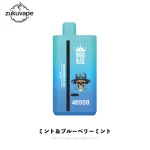 Bang Blaze 40000 使い捨てベイプ ミント＆ブルーベリーミント