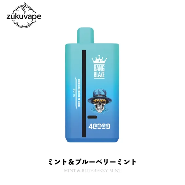 Bang Blaze 40000 使い捨てベイプ ミント＆ブルーベリーミント
