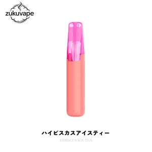 Snowplus Dash 4000 ハイビスカスアイスティー