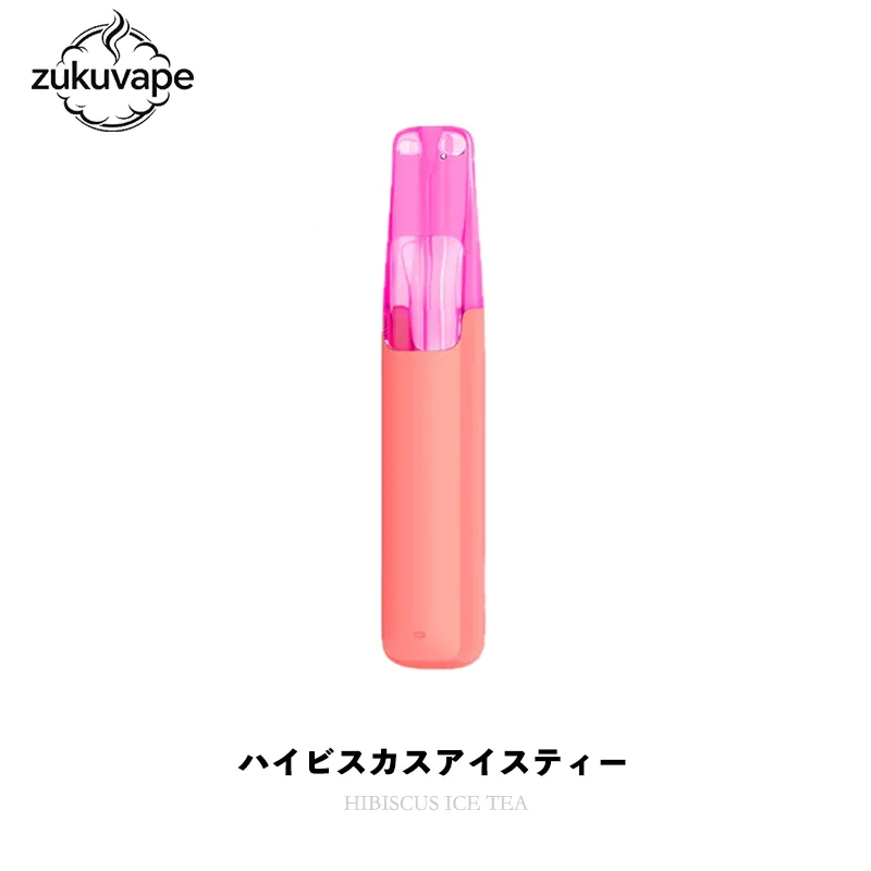 Snowplus Dash 4000 ハイビスカスアイスティー