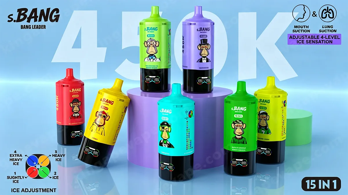 Bang Leader 450K 15in1 フレーバー使い捨てVAPEの製品画像 Bang Leader 450K 15in1 フレーバー使い捨てVAPE