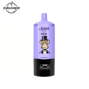 Bang Leader 450K 15in1 フレーバー使い捨てVAPE